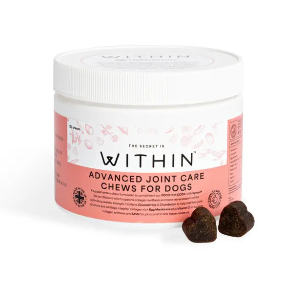 Within Advanced Joint Care Chews for Dogs 120 chews